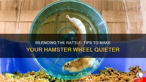 hamster videos|Rattling Wheel